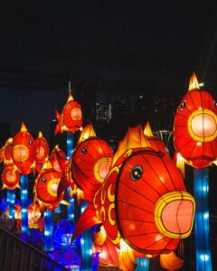 Carp lanterns