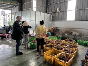 Chúng tôi đang tìm hiểu về cách chế biến thanh long